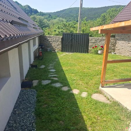 Casa Noua Villa Sasca Montană Eksteriør bilde