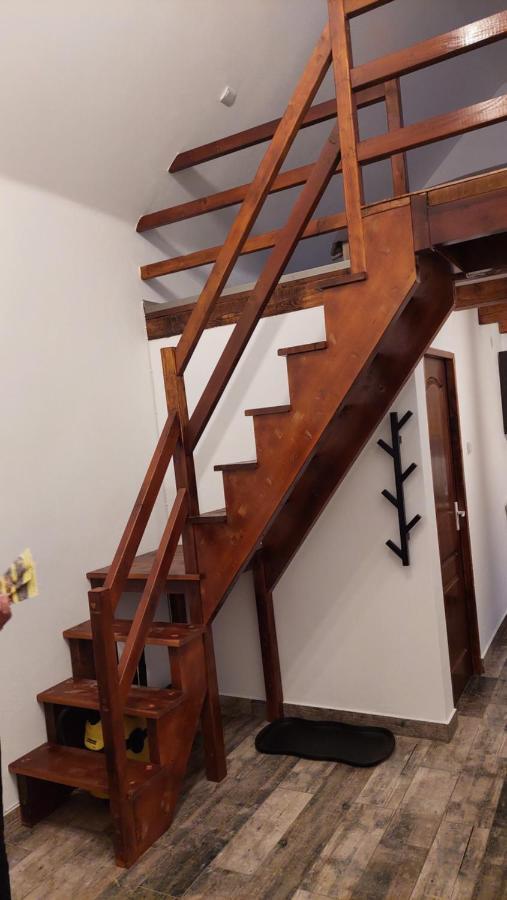 Casa Noua Villa Sasca Montană Eksteriør bilde