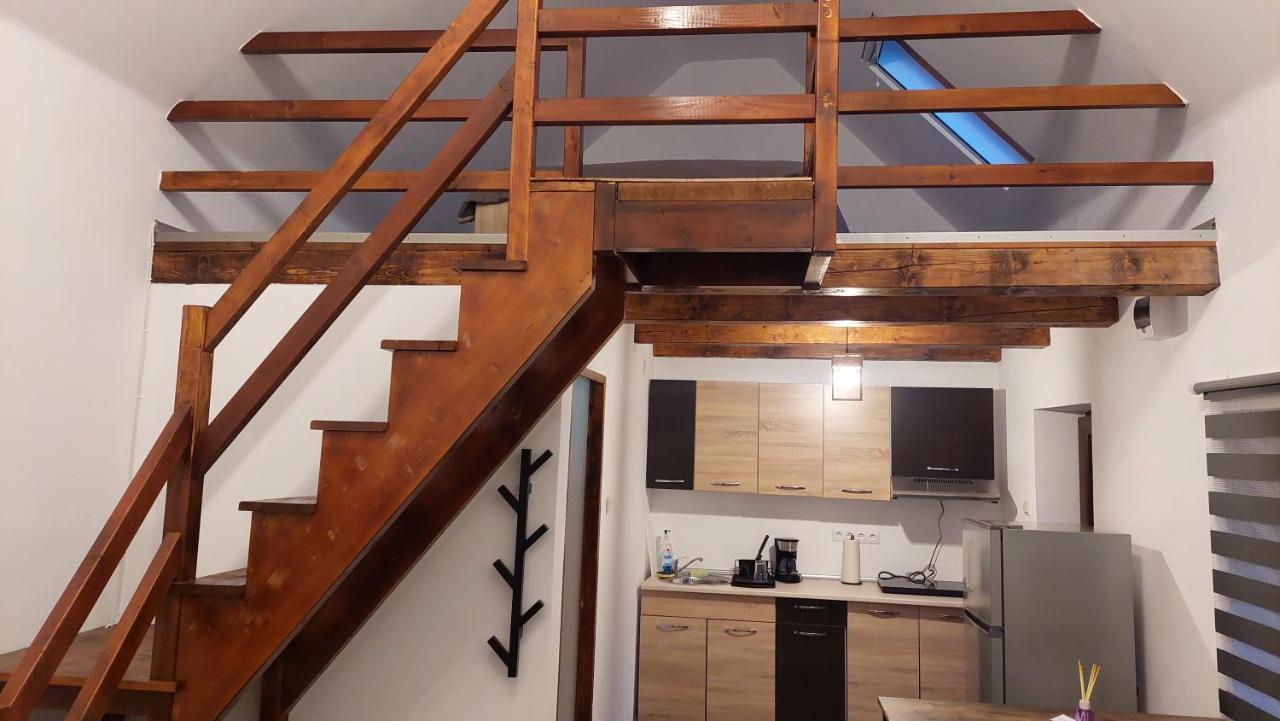Casa Noua Villa Sasca Montană Eksteriør bilde