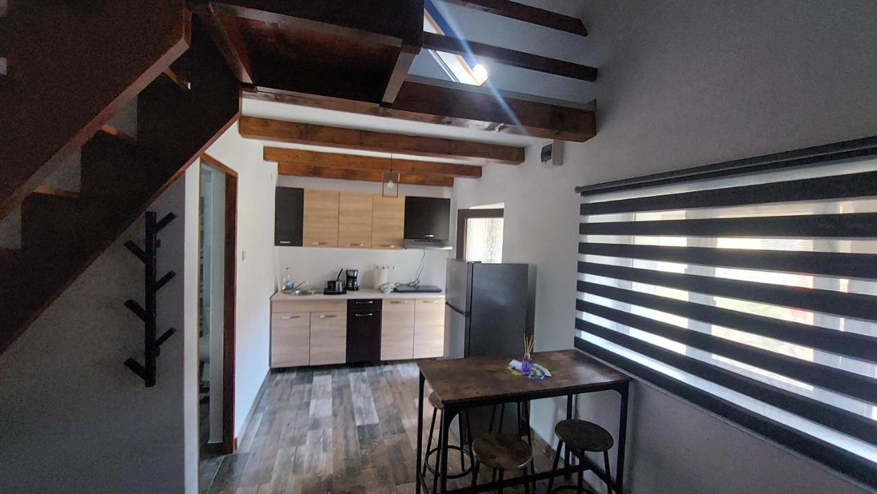 Casa Noua Villa Sasca Montană Eksteriør bilde