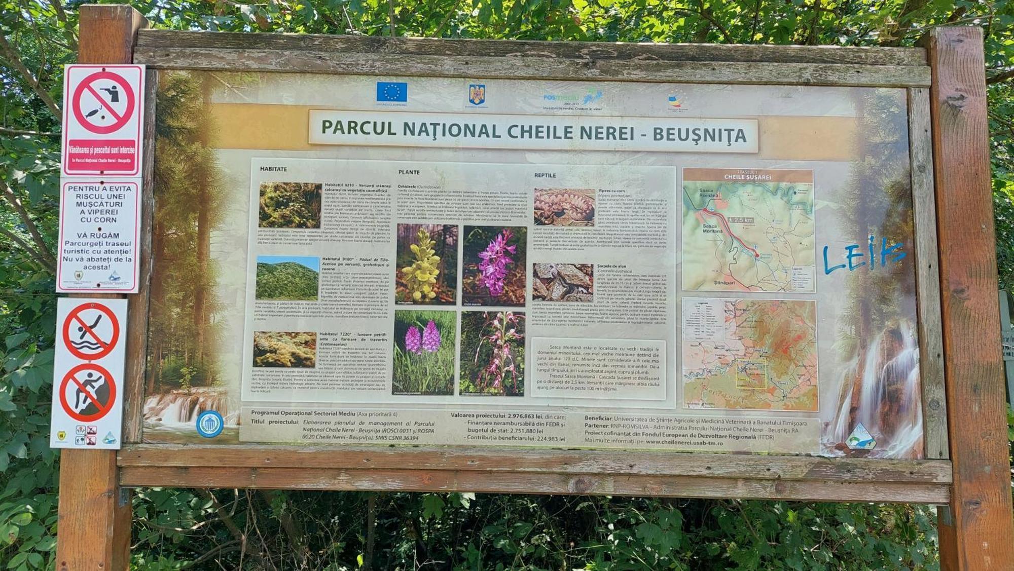 Casa Noua Villa Sasca Montană Eksteriør bilde