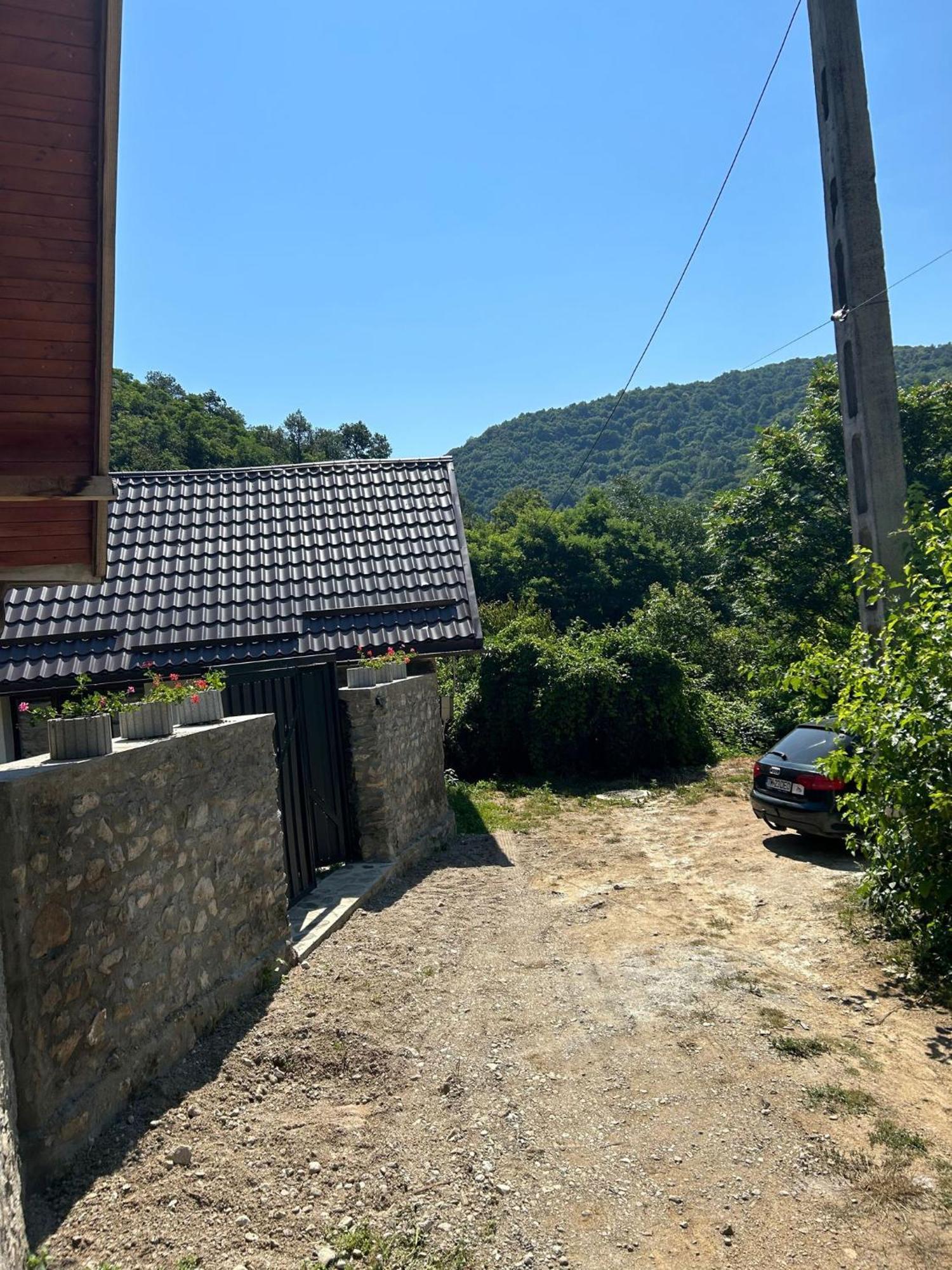 Casa Noua Villa Sasca Montană Eksteriør bilde