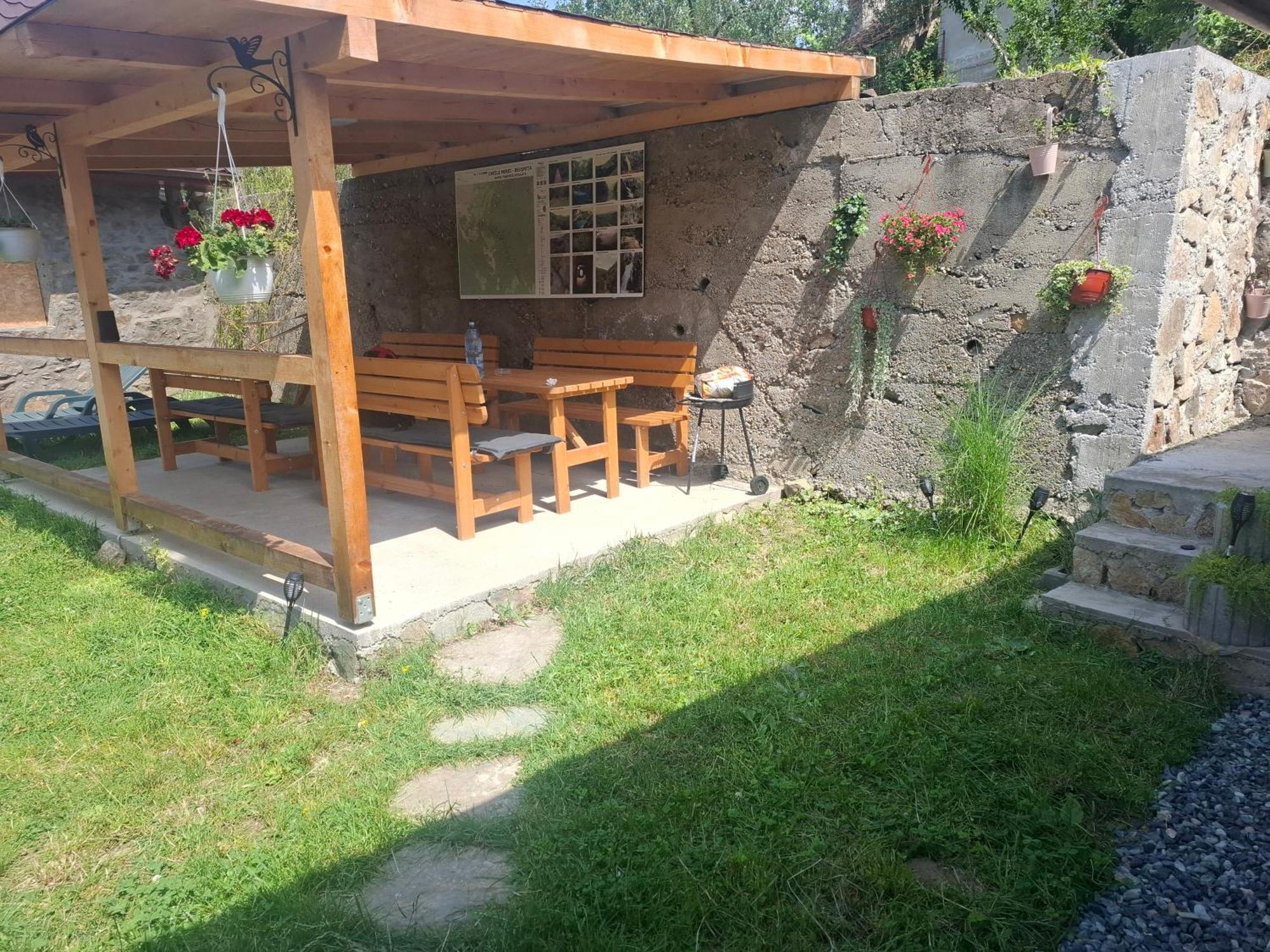 Casa Noua Villa Sasca Montană Eksteriør bilde